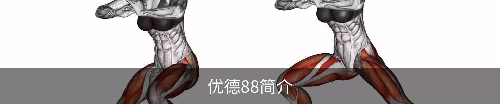 优德88简介